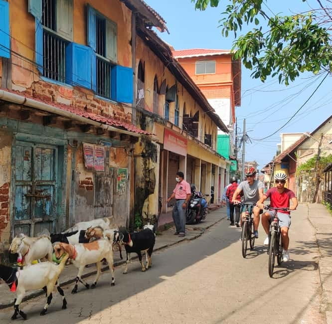 Good Morning Kochi Bicycle Tour - The European Jewish Quarter: Bazaar Road connections and old spice leftovers