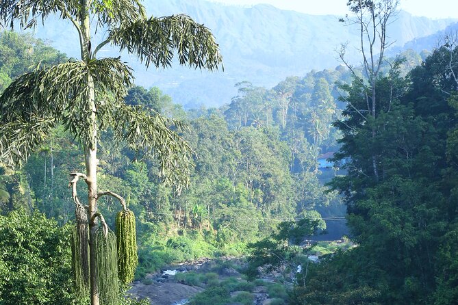 Green Magic Day Tour to Munnar - Waterfalls on the route: Cheeyappara first, then Valara