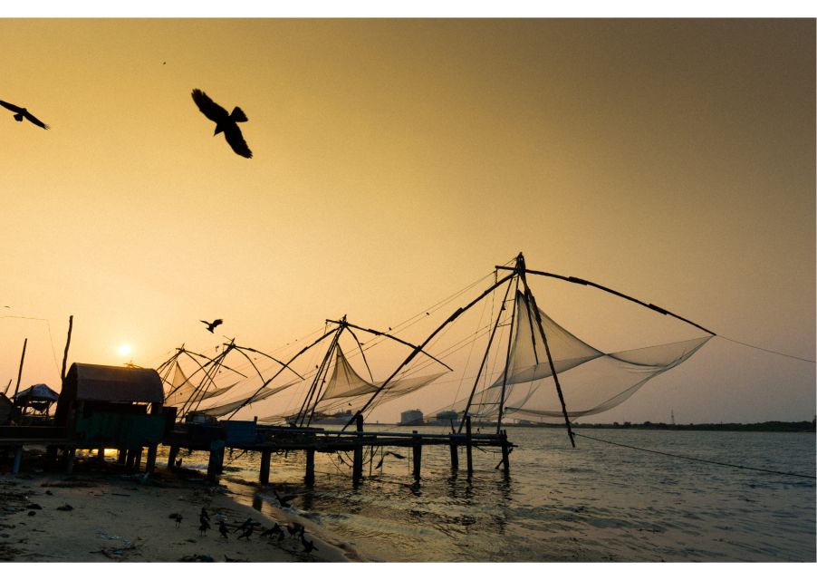 Heritage & Cultural Walk of Kochi (2 Hours Guided Tour) - The Chinese fishing nets stretch: seeing trade-era technology at work