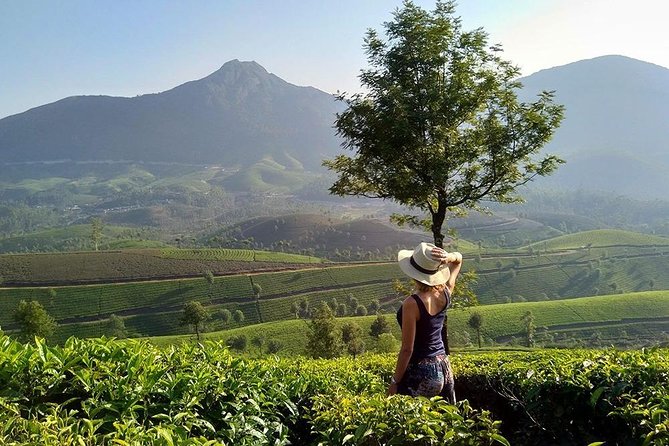 Kerala Honeymoon Special Package with Private Houseboat - Day 2: Eravikulam (Rajamalai), Mattupetty Dam, and Echo Point