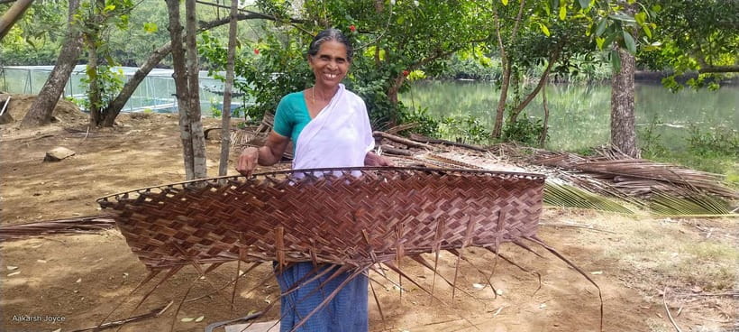 Kochi: Backwater Exploration in Village: Free Pickup & Drop - Bamboo-Pole Shikara Time: How the Cruise Feels From Start to Finish