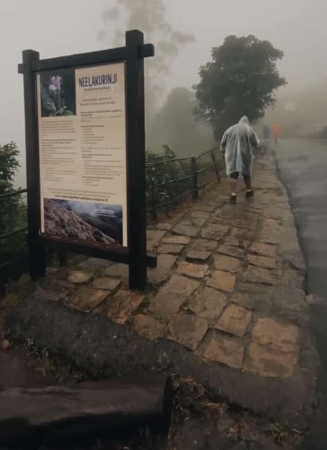 Kochi to Munnar: Eravikulam, lockhart & Waterfalls day tour - Munnar Lunch Break: Kerala Food While the Day Stays on Track