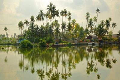 Kumbalangi Village Sightseeing Tour - Stop in Kumbalangi: Chinese nets, mangroves, and rural life