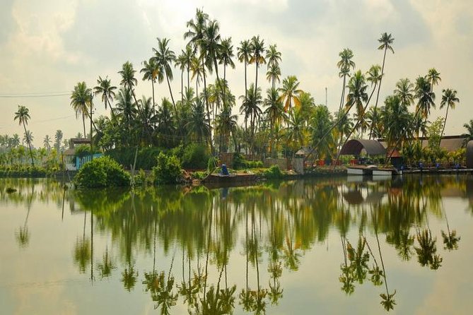 Kumbalangi Village Sightseeing Tour - Stop in Kumbalangi: Chinese nets, mangroves, and rural life