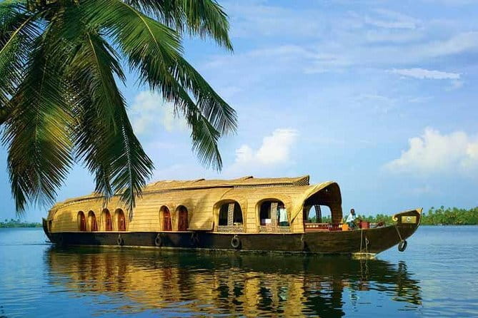 Private Houseboat Backwater Day Cruise tour with Lunch from Cochin - Key things that make this cruise worth your time