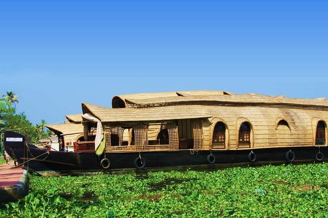 Private Kerala Backwater Houseboat Day Cruise with Lunch from Cochin - Key things I’d zero in on before you book