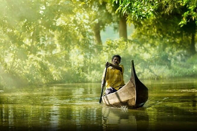 Private Kerala Backwater Houseboat Day Cruise with Lunch from Cochin - Who this private houseboat cruise suits best