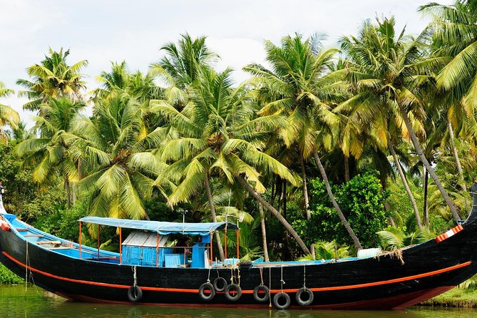 Private Overnight Alleppey Houseboat Cruise from Kochi - The 9:00 am start, private pickup, and how the logistics actually work