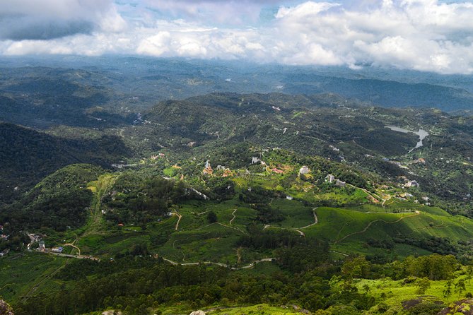 Scenic Kerala : Hills, Wildlife, Backwaters & Beach Bliss- 7 Days - Munnar in one busy day: tea views, dams, roses, and Nilgiri tahr