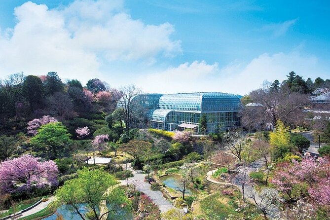 Shore Excursion Full Day Private Kochi Tour from Kochi port - Kochi Castle: undamaged views and a proper 2-hour visit