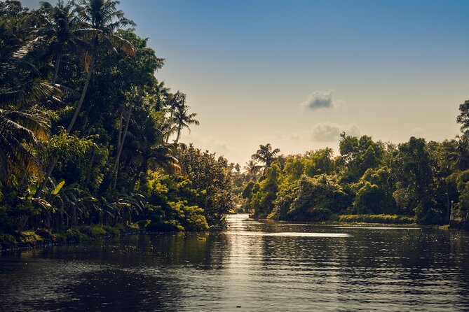 Sunset Cruise with Village Life and Local Food - Arriving at Cheepunkal: the 3:30 pm start and what to expect right away