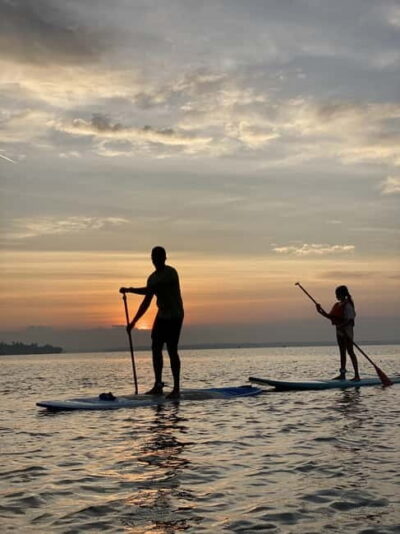 SUP in Kochi: Sunrise Stand-Up Paddleboarding Tour - Where you meet and how the morning flows