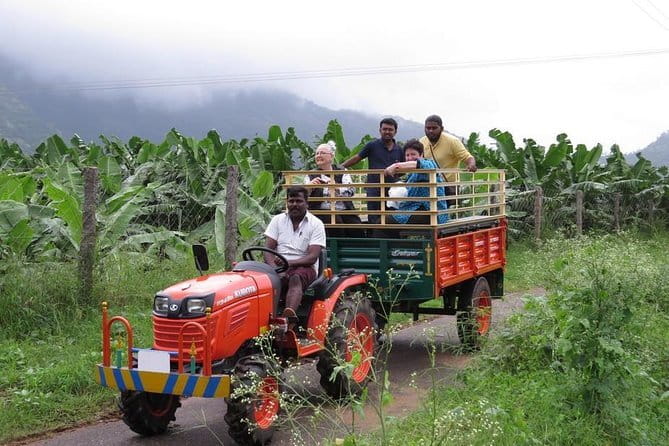 Village Bike Tour & Birdwatching - Finishing back at the backwaters: Kerala-style meal included
