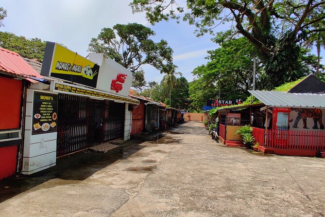 Walking Tour Of Fortkochi & Local Lunch - St. Francis Church and the Chinese fishing nets stop
